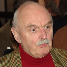 Anne van der Meiden
