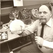 Ari Stolk