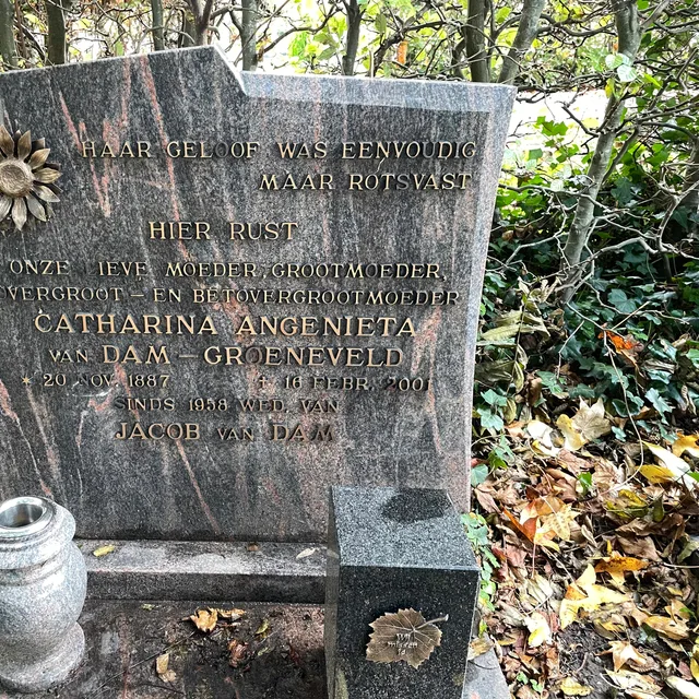 Catharina van Dam-Groeneveld