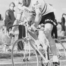 Fedor den Hertog