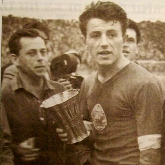 Mircea Petescu