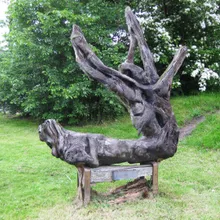 Omer Gielliet