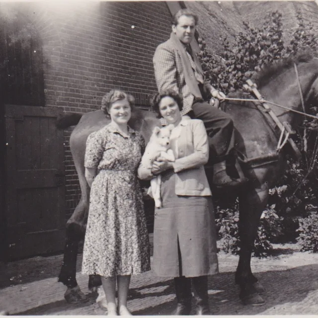 Piet Struijk