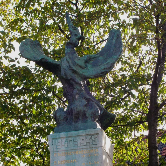 Pieter Biesiot