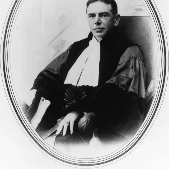 Nicolaas van den Dries