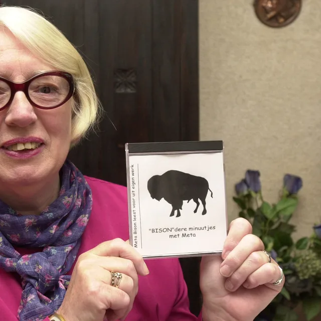 Meta Bison