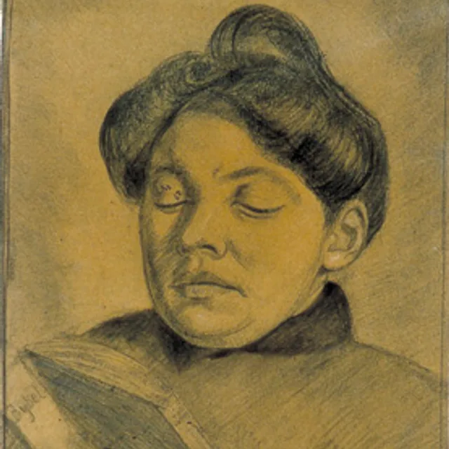 Agnita Feis