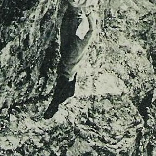 Jeanne Immink