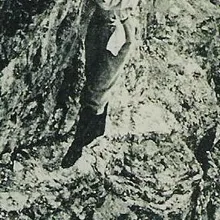 Jeanne Immink