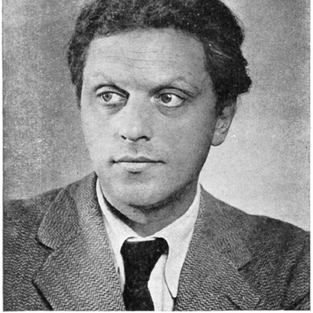 Han van Dam