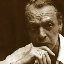 Simon Vinkenoog