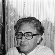 Harm van der Meulen