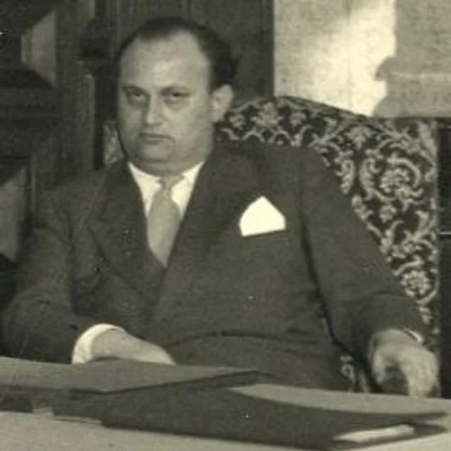 Willem Hubertus Johannes Derks