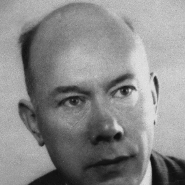 Petrus Johannes Witteman