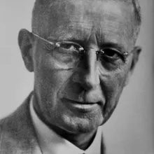 Johan Ringers