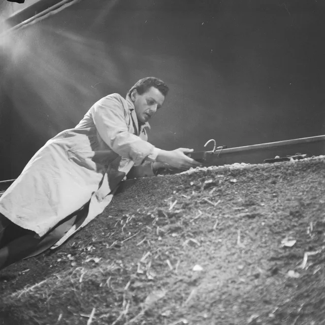 Rob de Vries