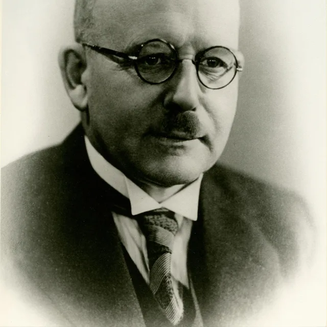 Willem Jan Hendrik Hoen