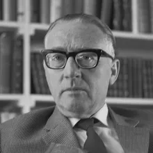 Theun de Vries