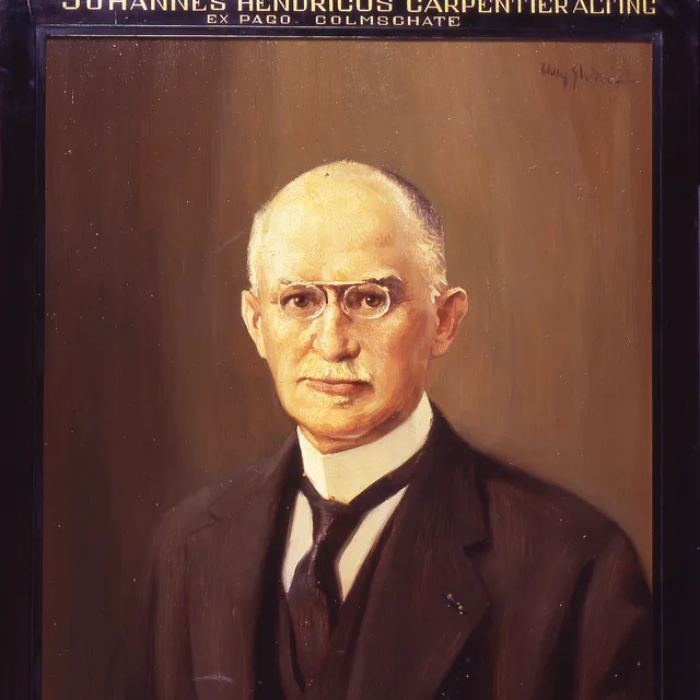 Johannes Hendrik Carpentier Alting