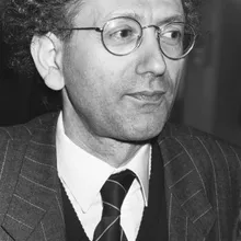 Martin van Amerongen