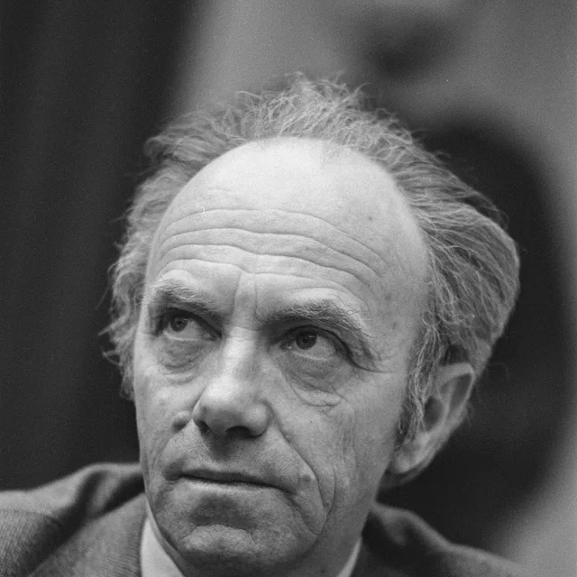 Henk Knol