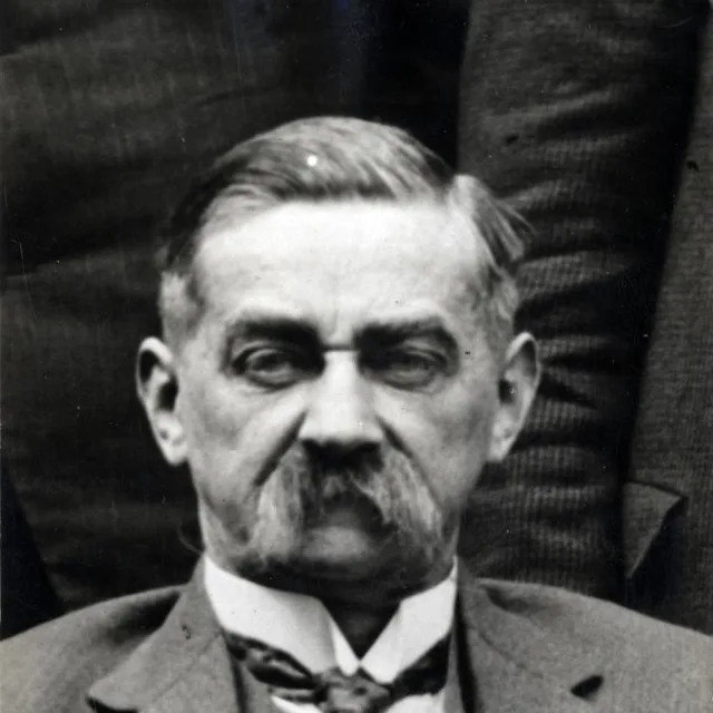 Anne Anema