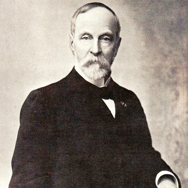 Petrus van der Does de Willebois