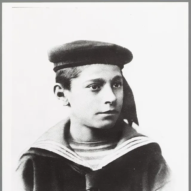 Willem Hendrik Meijer