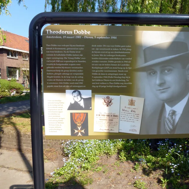 Theo Dobbe