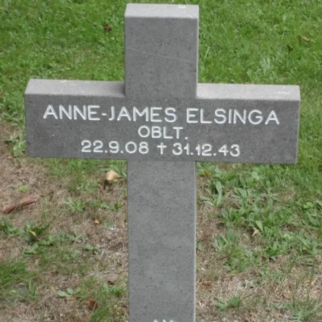 Anne Jannes Elsinga