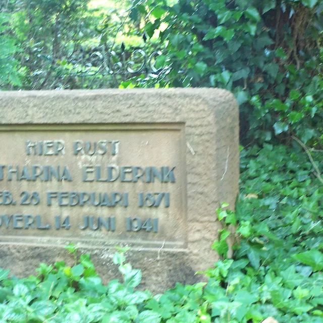 Catharina Elderink