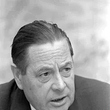 Cornelis van Traa