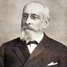 Willem van Goltstein van Oldenaller