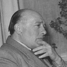 Johan Elsensohn