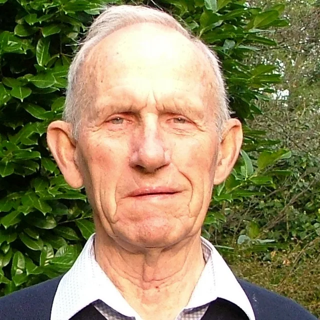 Arie van den Beukel