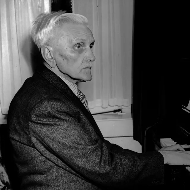 Johannes de Heer