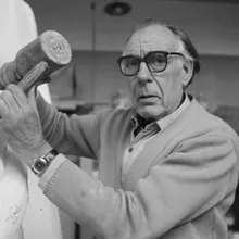 Johan Polet