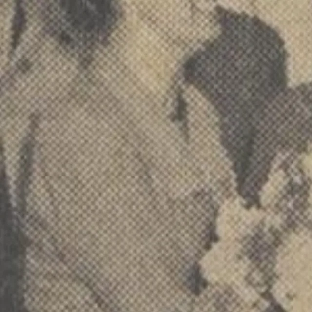 Rie Lips-Odinot