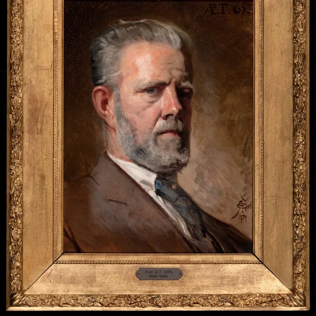 Abraham Frans Gips