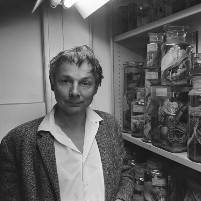 Dick Hillenius