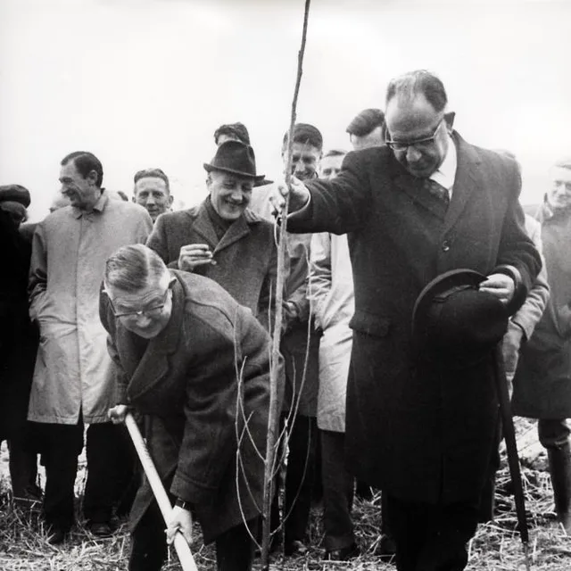 Hein van de Poel