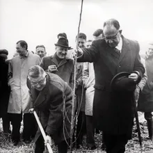 Hein van de Poel