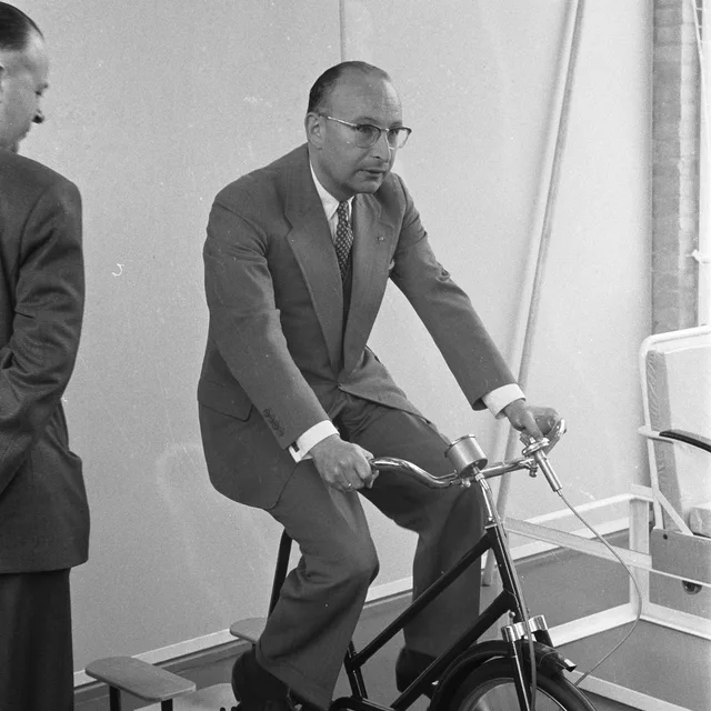 Robbert van den Bergh