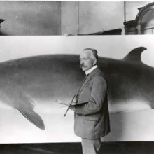 Marinus Adrianus Koekkoek