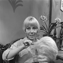 Carla Lipp