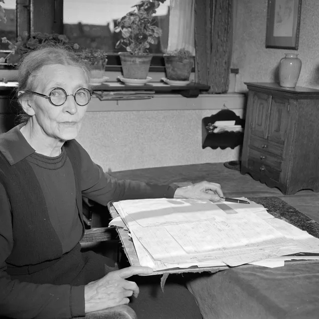 Nine van der Schaaf