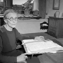 Nine van der Schaaf