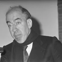 Johan Polak