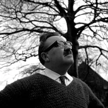 Louis van Roode