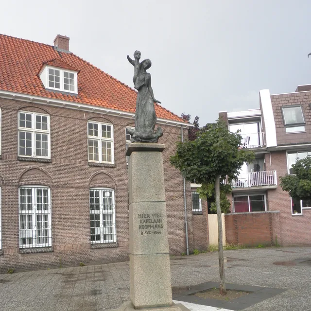 Harry Koopmans